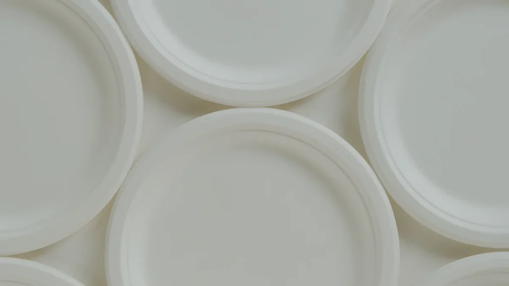 Top 10 Suppliers of 8 Inch Biodegradable Plates in 2025 3