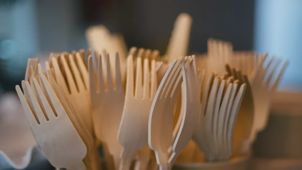 Top 7 Brands for 11 Inch Biodegradable Plates in 2025 3