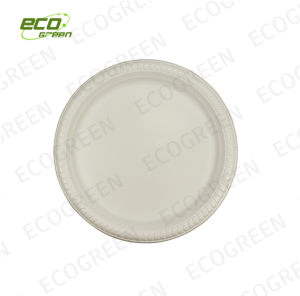 Top 7 Brands for 11 Inch Biodegradable Plates in 2025