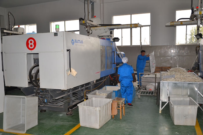 WORKSHOP 1