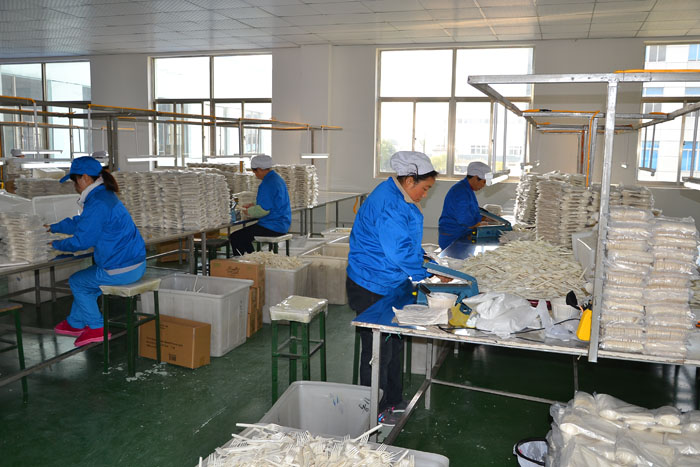 WORKSHOP 4